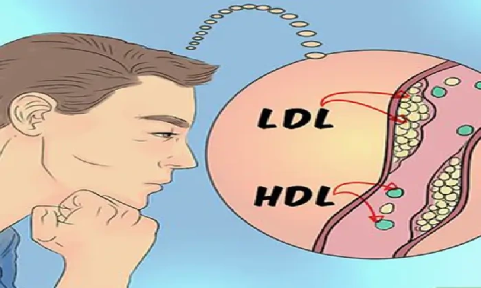 تحليل hdl cholesterol